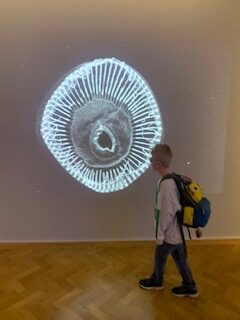 Specialised Provision