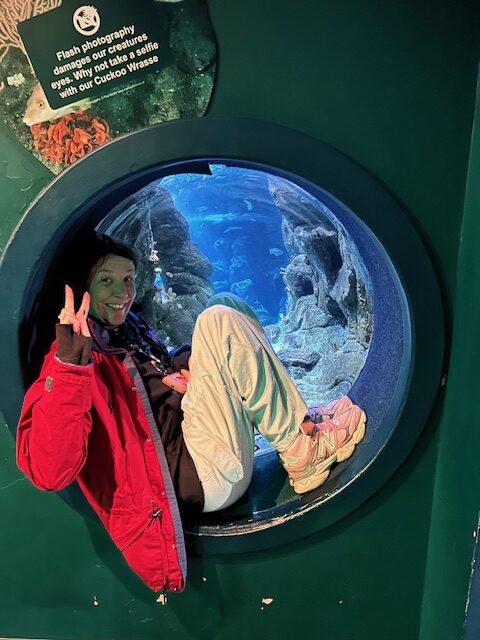 Specialist Education Services Plymouth