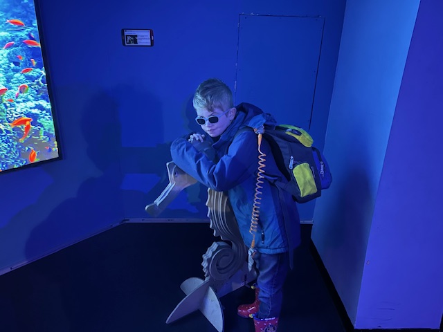 Educational Needs Near Me